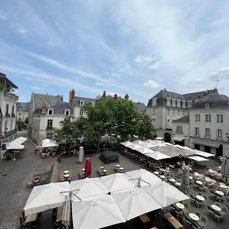 T2 Vue Sur La Place Plumereau Tours Exterior foto