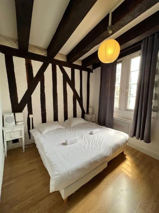 T2 Vue Sur La Place Plumereau * Tours