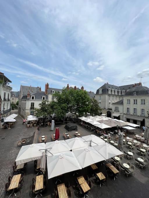 Appartement T2 Vue Sur La Place Plumereau *